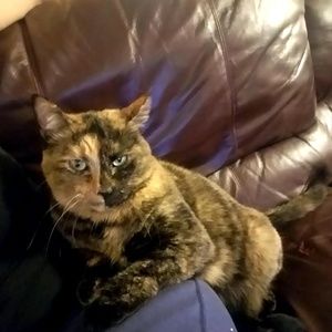 Meet your Posher, Elena